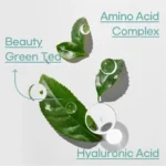 Innisfree Green Tea Hydrating Amino Acid Cleansing Foam – A Gentle Refresh for Your Skincare Routine