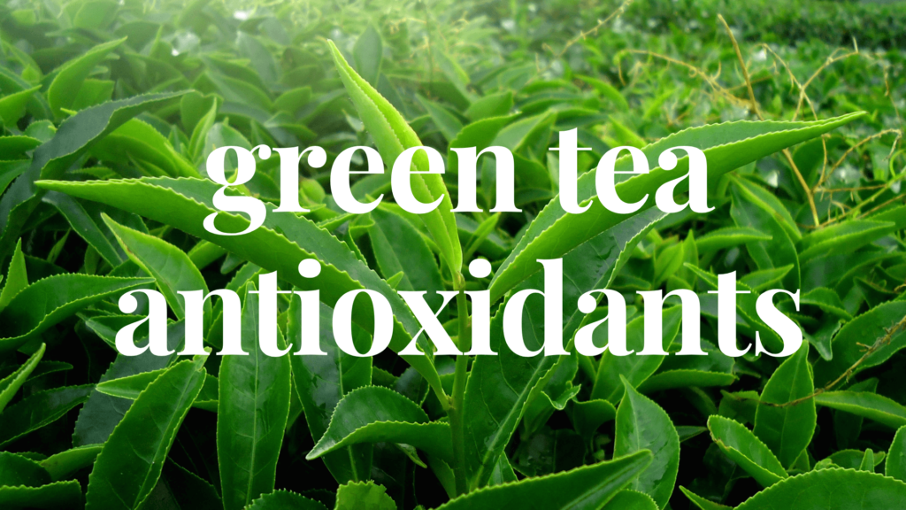 green tea antioxidants