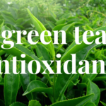 Unlock the Power of Green Tea Antioxidants: Benefits and Uses